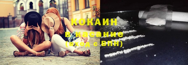 spice Болотное