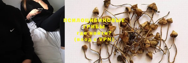 Альфа ПВП Бородино