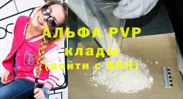 spice Болотное