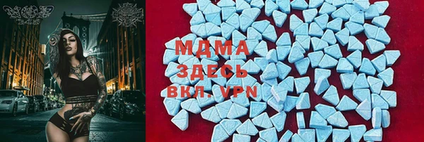 spice Болотное