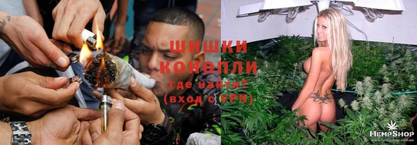 spice Болотное