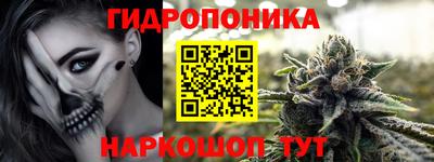 ГАЛЛЮЦИНОГЕННЫЕ ГРИБЫ Гусев