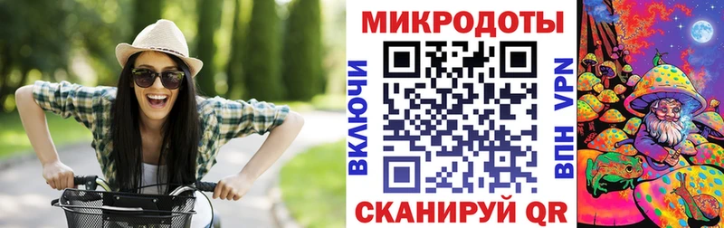 Псилоцибиновые грибы GOLDEN TEACHER  где можно купить наркотик  mega сайт  Зеленогорск 